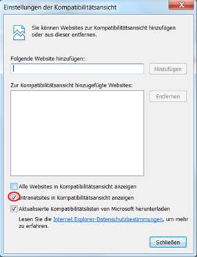 DocuProtection FAQ - MS Internet Explorer 10